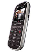 Best available price of Motorola WX288 in Bangladesh