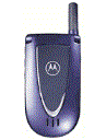 Best available price of Motorola V66i in Bangladesh